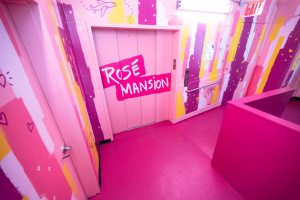 Игровая Instagram-площадка для взрослых или образовательный опыт Rosé Mansion