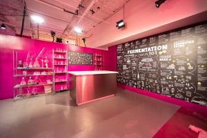 Игровая Instagram-площадка для взрослых или образовательный опыт Rosé Mansion