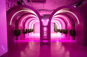 Игровая Instagram-площадка для взрослых или образовательный опыт Rosé Mansion